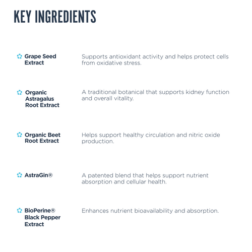 List of key ingredients with their functions on a white background.