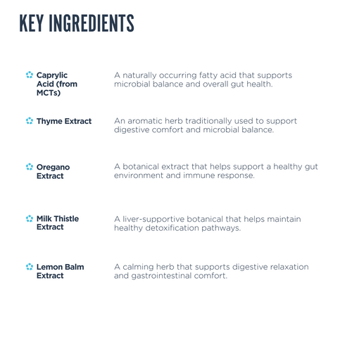 List of key ingredients with their quantities and functions on a white background.