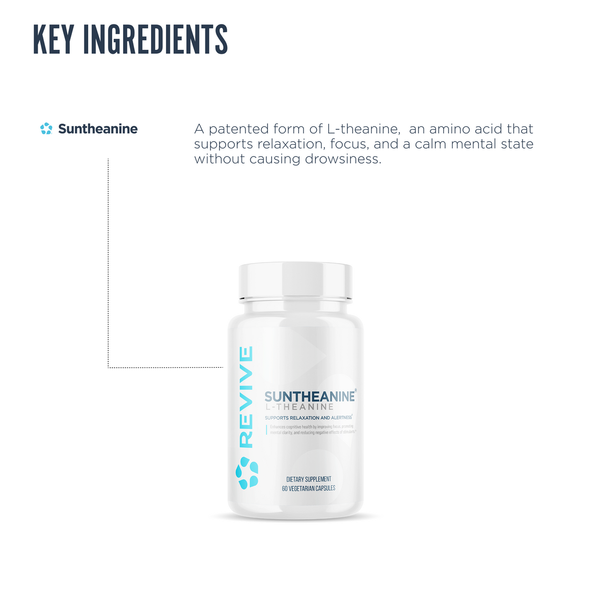 Revive Suntheanine supplement key ingredient infographic showcasing patented L-theanine for relaxation, alertness, and mental clarity without sedative effects.