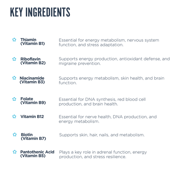 Elevated Essentials Bundle