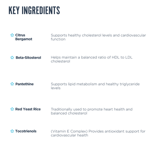 List of key ingredients with their quantities and functions on a white background.