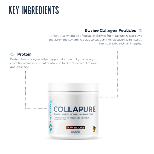 a Collapure supplement container and it's main ingredients described around it.