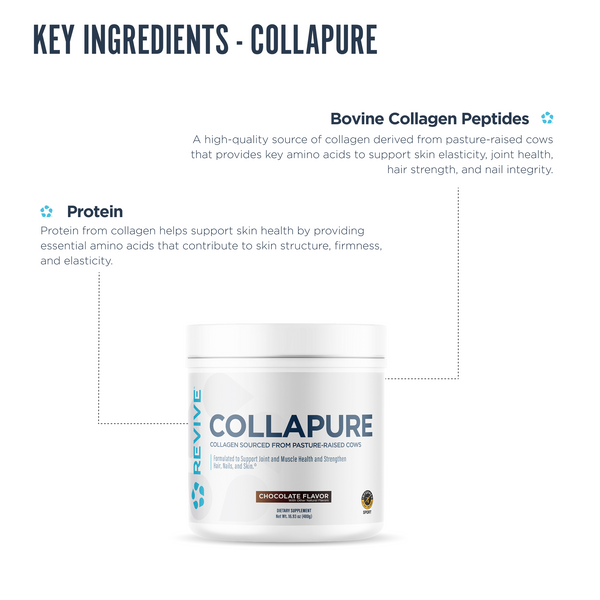 Revive CollaPure chocolate-flavored collagen supplement featuring bovine collagen peptides and protein to support skin elasticity, joint health, nail strength, and structural skin integrity.