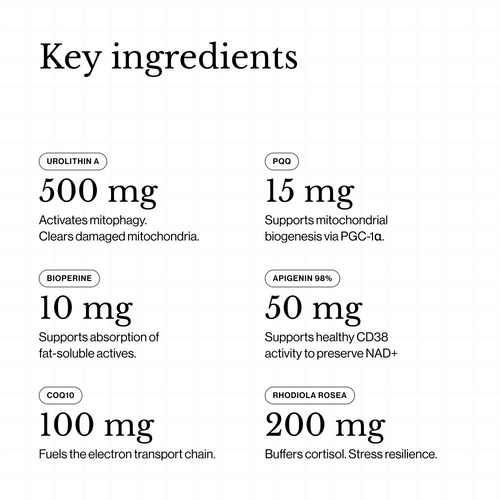 List of key ingredients with their quantities and functions on a white background