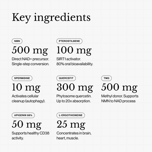 List of key ingredients with their quantities and functions on a white background