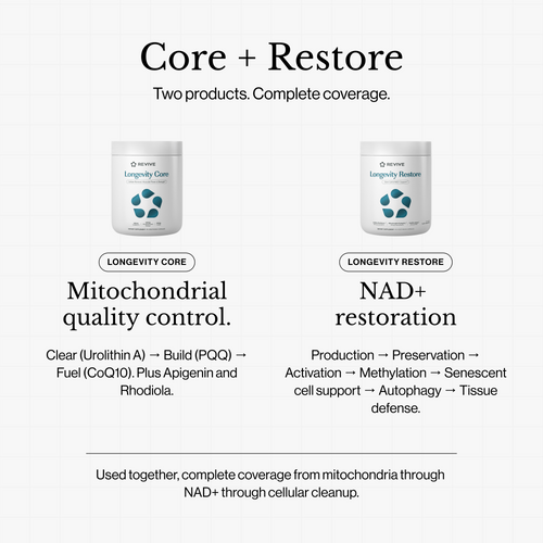 Two containers labeled 'Longevity Core' and 'Longevity Restore' with text describing their functions on a white background.
