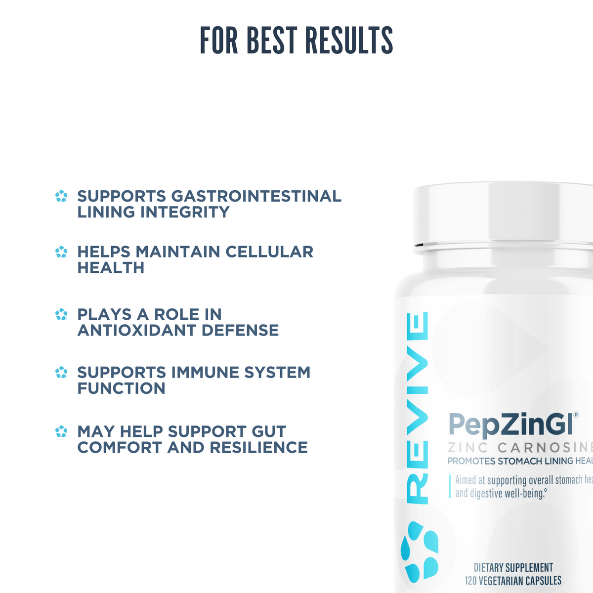 Revive PepZinGI supplement benefits infographic showcasing gastrointestinal lining support, cellular health, immune system support, antioxidant activity, and gut resilience.
