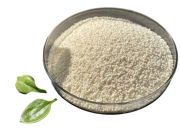 Guanidinoacetic Acid, 2,000 mg