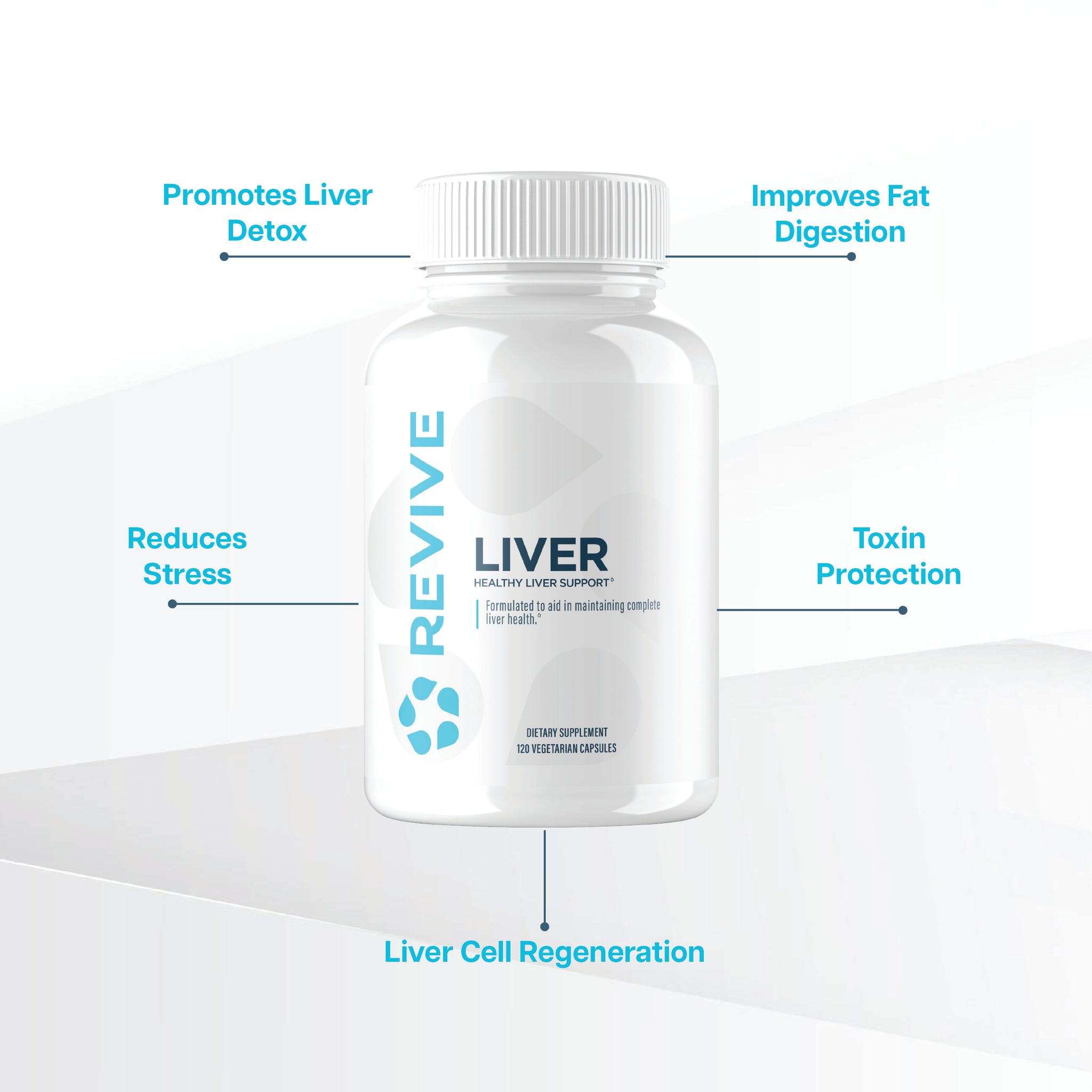 Liver