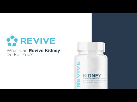 Kidney
