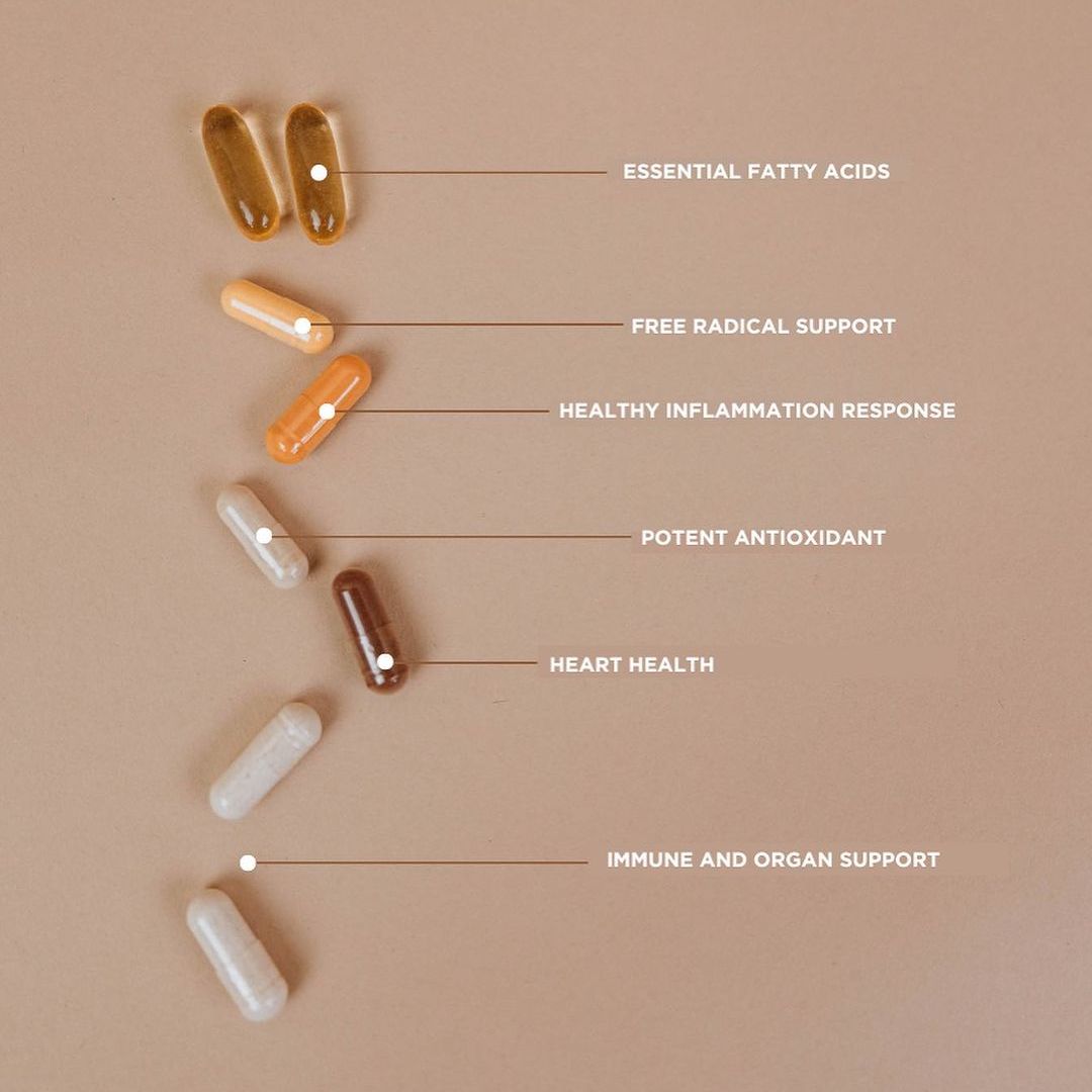 Essential Vitamins Pack - Revive MD